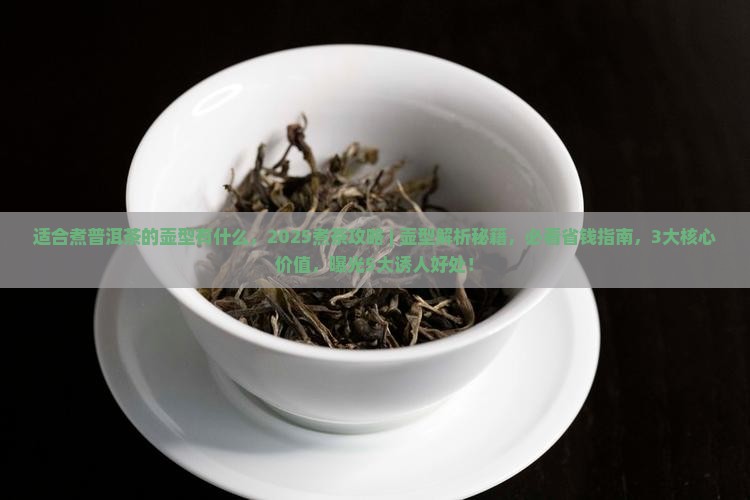 适合煮普洱茶的壶型有什么