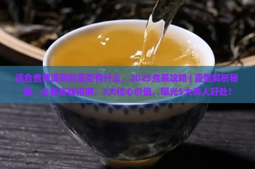 适合煮普洱茶的壶型有什么