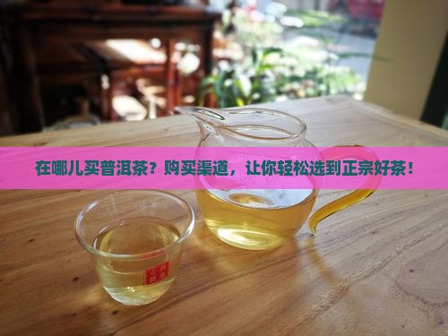 在哪儿买普洱茶