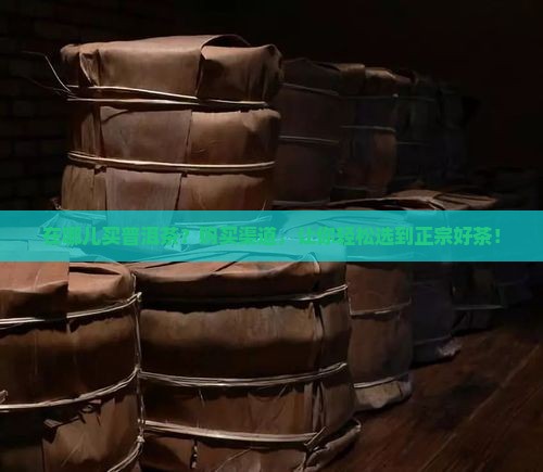 在哪儿买普洱茶
