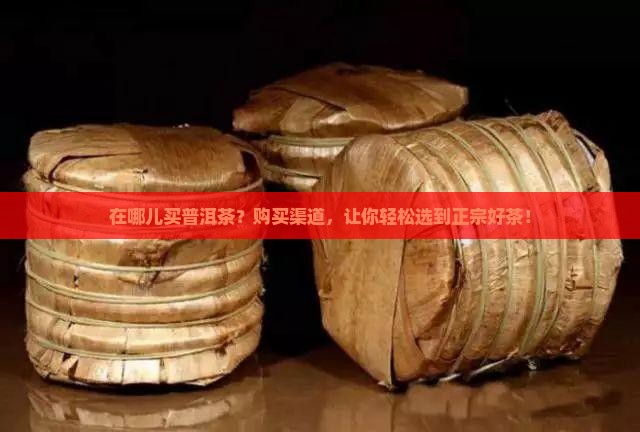在哪儿买普洱茶