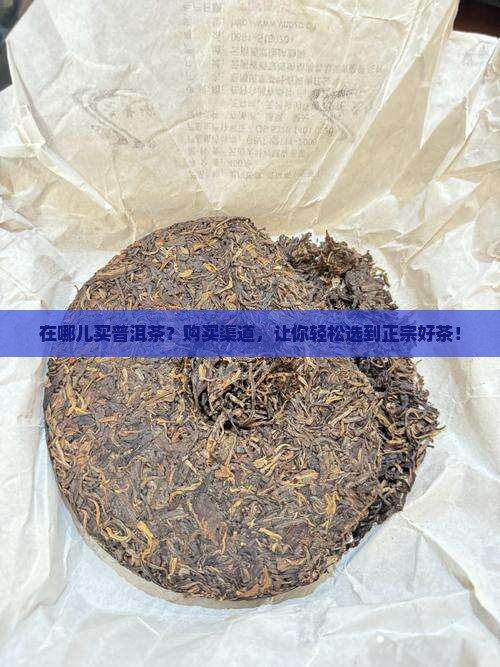 在哪儿买普洱茶