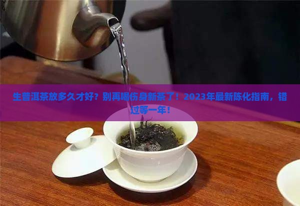 生普洱茶放多久才好