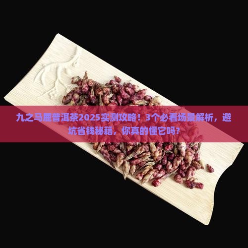 九之马鹿普洱茶