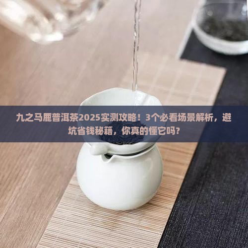 九之马鹿普洱茶
