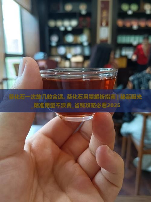茶化石一次放几粒合适