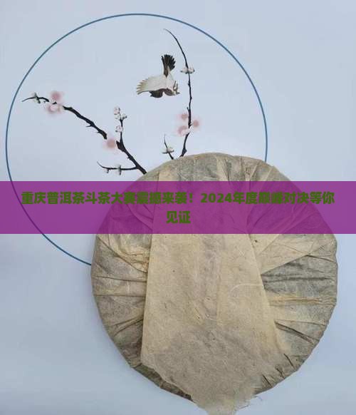 重庆普洱茶斗茶大赛