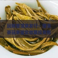 玩转普洱茶发行