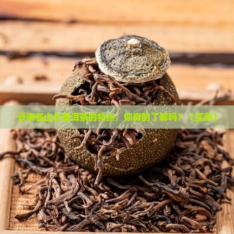 云南各山头普洱茶的特点