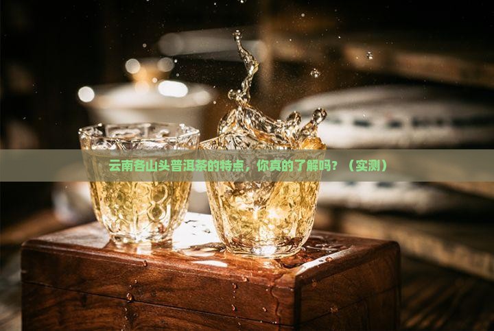 云南各山头普洱茶的特点