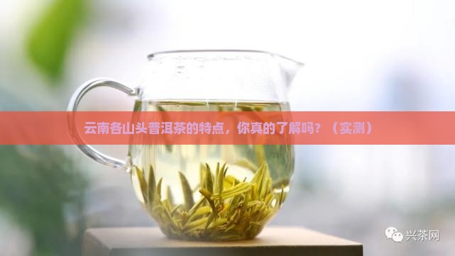 云南各山头普洱茶的特点