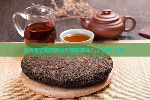 普洱茶为什么会有灰尘