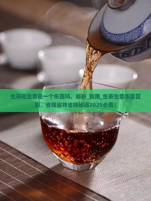 生茶和生普是一个东西吗