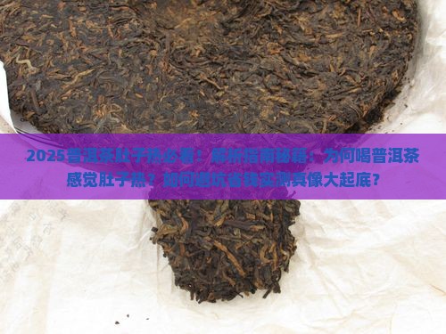 喝普洱茶感觉肚子热