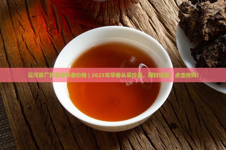 云河茶厂普洱茶早春价格