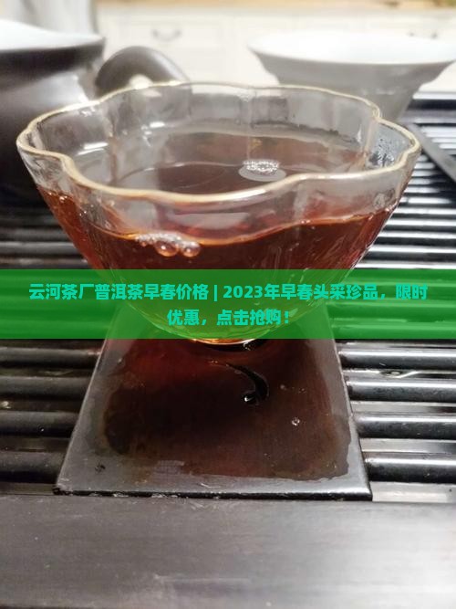 云河茶厂普洱茶早春价格