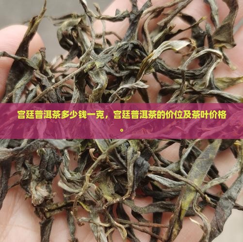 宫廷普洱茶多少钱一克