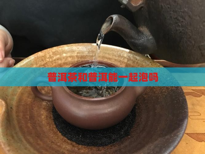 普洱茶和普洱茶能一起泡吗