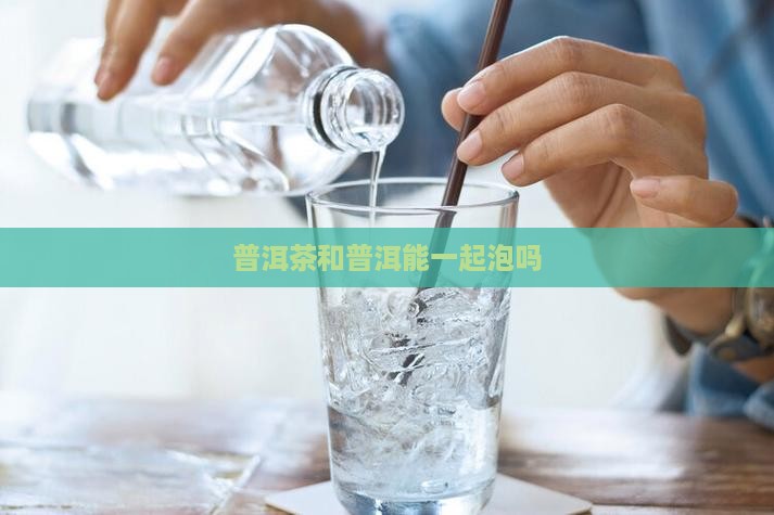 普洱茶和普洱茶能一起泡吗