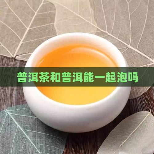 普洱茶和普洱茶能一起泡吗