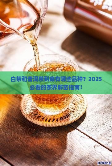白茶和普洱茶有哪些品种