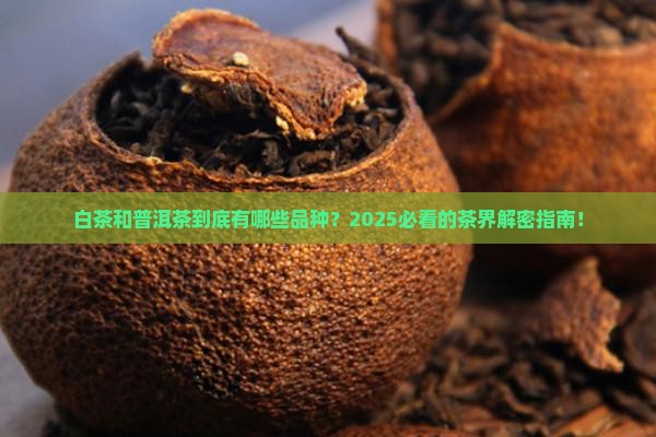 白茶和普洱茶有哪些品种