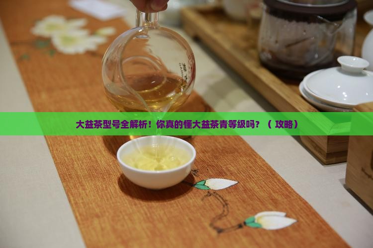 大益茶型号介绍大益茶青等级标准