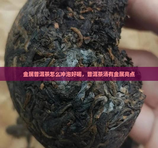 金属普洱茶怎么冲泡