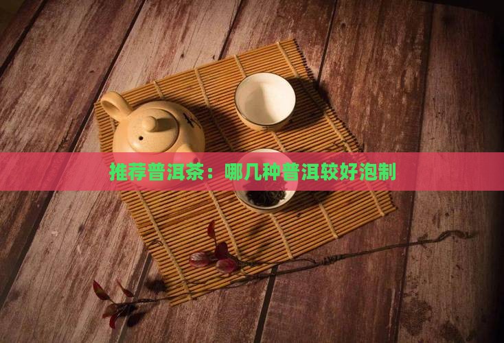 哪几种普洱茶较好泡制一点