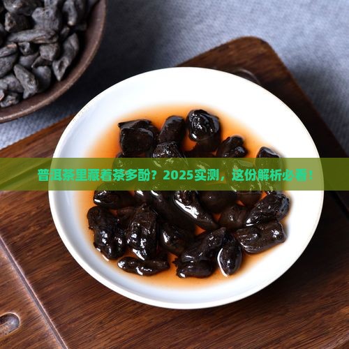 普洱茶能提取茶多酚