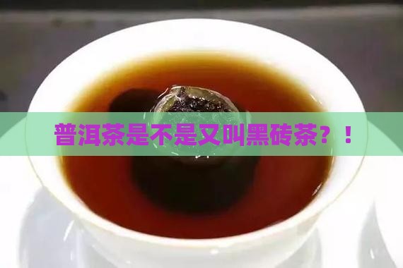 普洱茶是不是又叫黑砖茶