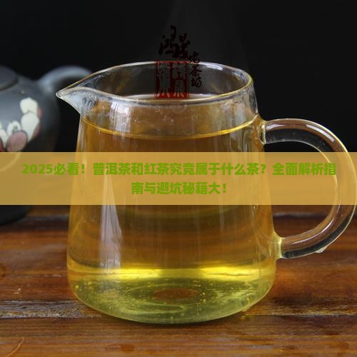 普洱茶红茶属于什么茶