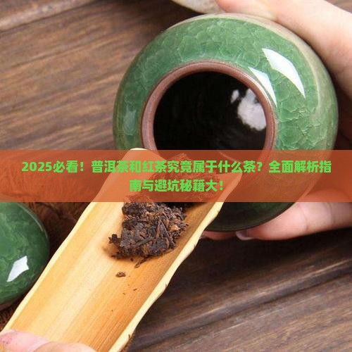 普洱茶红茶属于什么茶