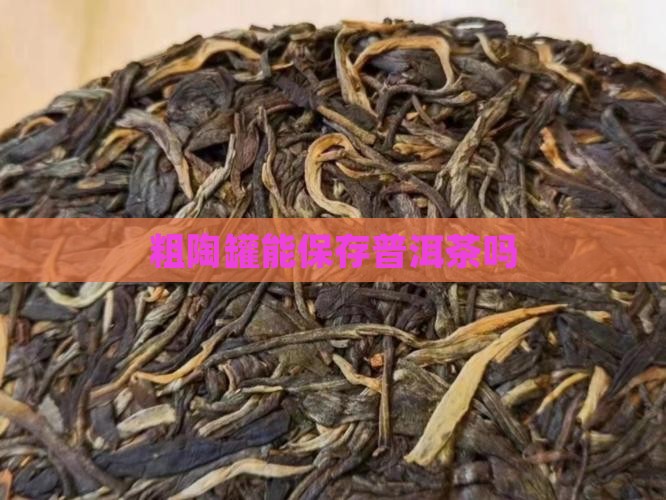 粗陶罐能保存普洱茶吗