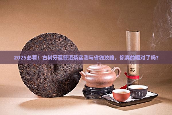 古树牙苞普洱茶