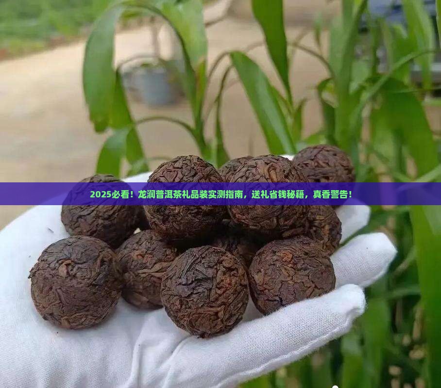 龙润普洱茶礼品装