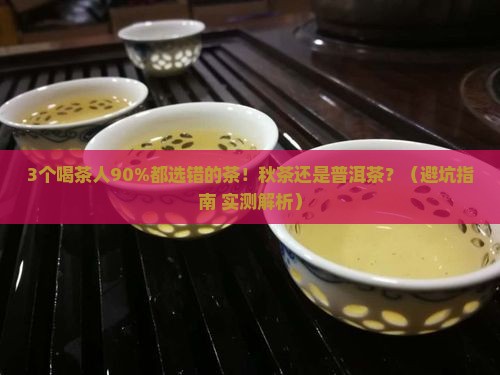 普洱茶好还是秋茶