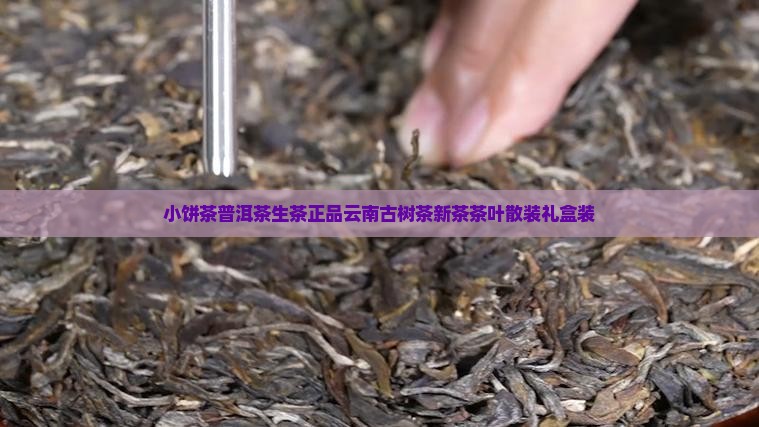 小饼茶普洱茶生茶