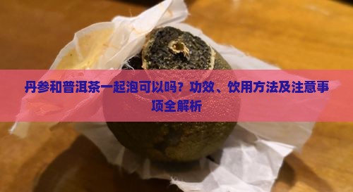 丹参和普洱茶一起泡