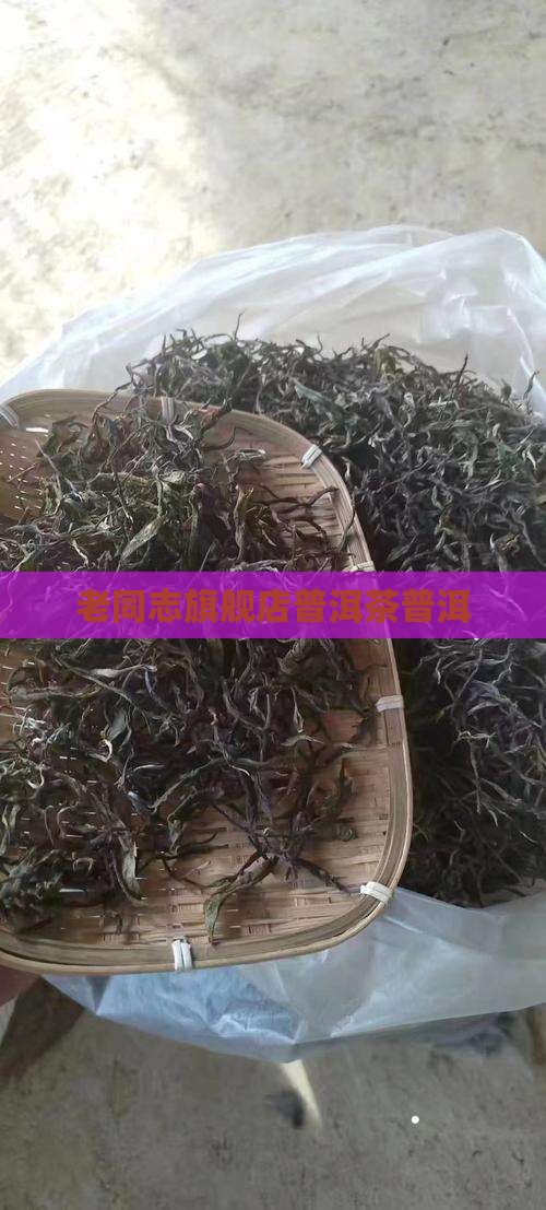 老同志熟普洱茶旗舰店