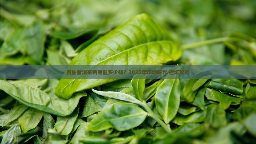 曼糯普洱茶的市场价值是多少