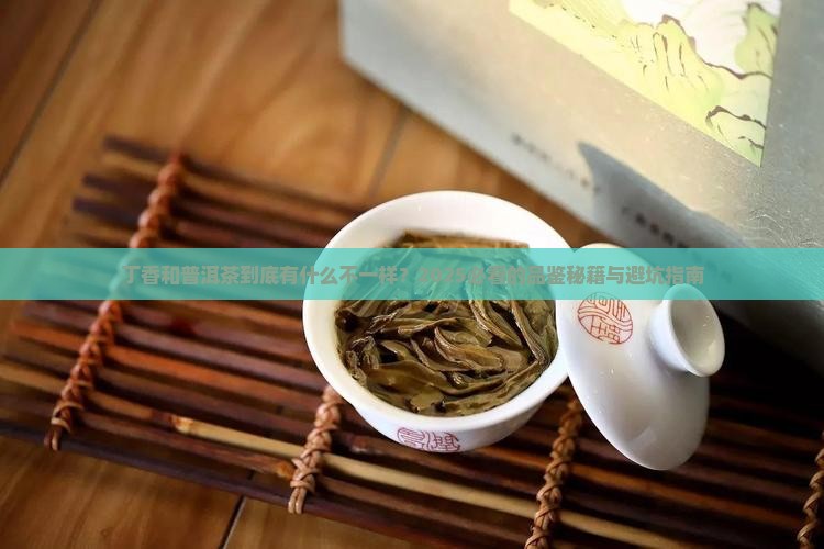 丁香与普洱茶的区别在哪里
