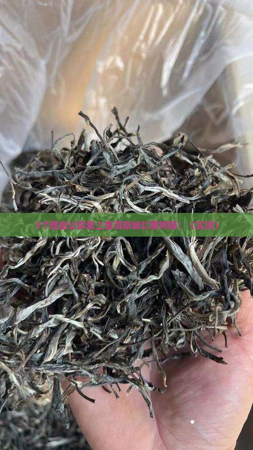 普洱茶城红薯烤箱