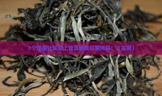 普洱茶城红薯烤箱