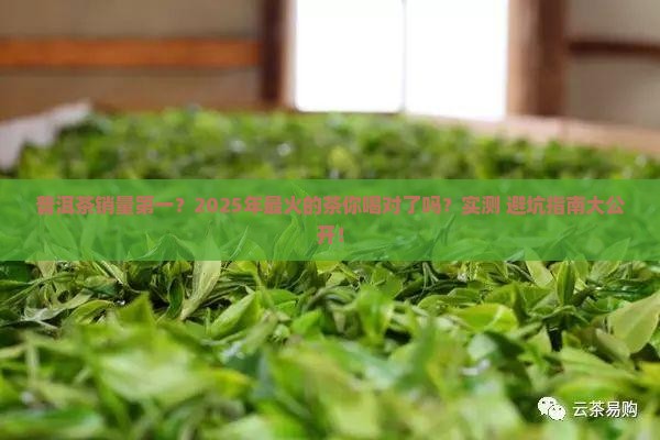 我国普洱茶销量排名榜第一
