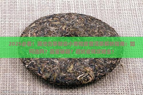 澜沧古茶新会小青柑皮普洱茶