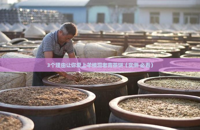 羊楼洞老青茶饼