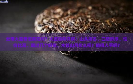 云南大益普洱茶如何