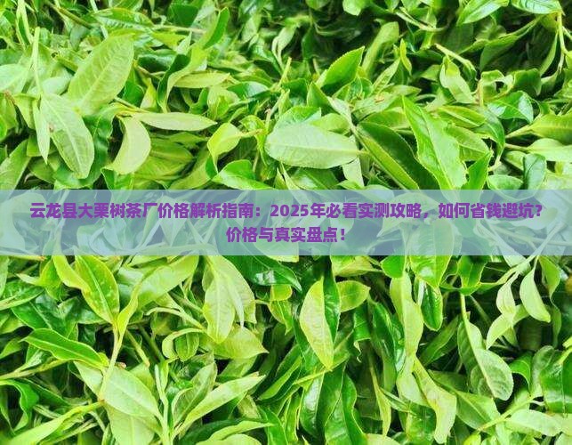 云龙县大栗树茶厂价格