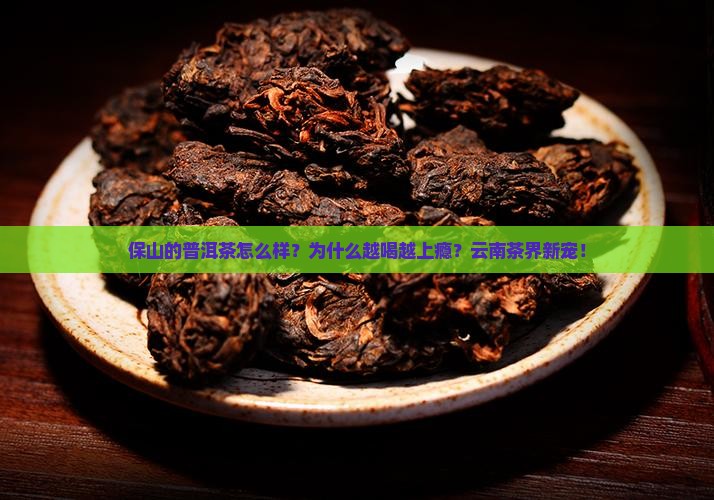 保山的普洱茶怎么样
